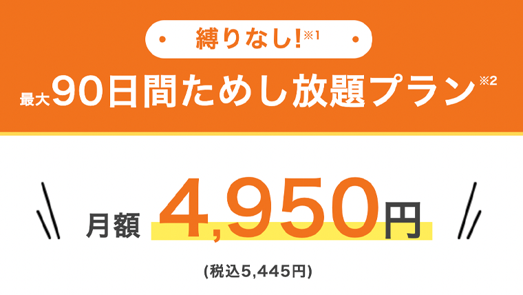 90日ためし放題プラン