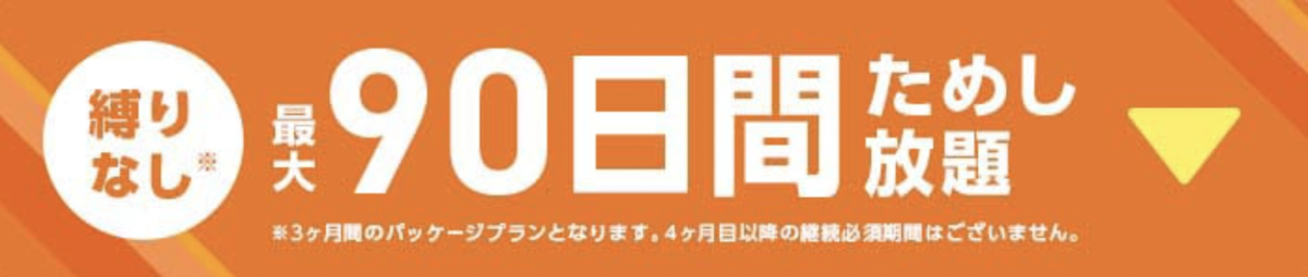 縛りなしプランは2月末まで