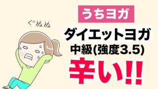 ダイエットヨガ中級(強度3.5)は圧倒的に辛かった